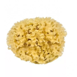[I905] Large Body Sea Sponge - 13cm - Medium