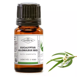 Organic essential oil of globular Eucalyptus