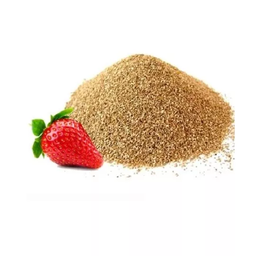 Strawberry seed